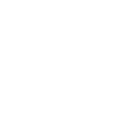 Kodak
