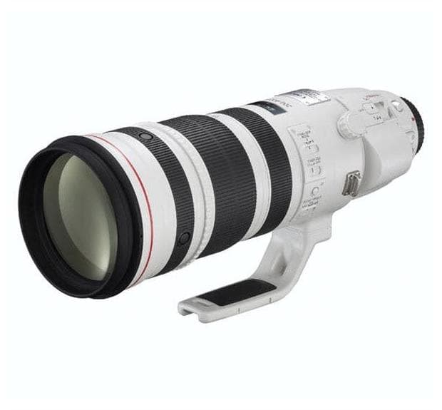 Canon EF 200-400mm f4L IS USM + 1.4x Tele-converter