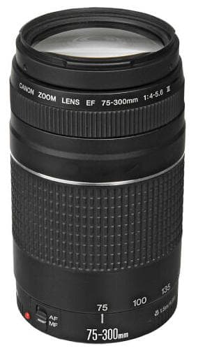 Canon EF 75-300mm f/4-5.6 III Lens